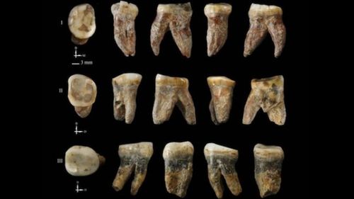683 Fossils From Unknown Species Of Human Discovered