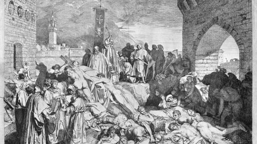 1028 Plague Outbreaks That Ravaged Europe For Centuries Were Driven By Climate Changes In Asia