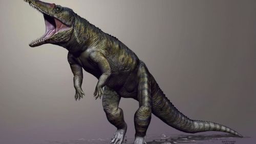 1301 Researchers Discover Enormous Ancient Crocodile That Walked Upright