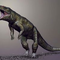1301 Researchers Discover Enormous Ancient Crocodile That Walked Upright