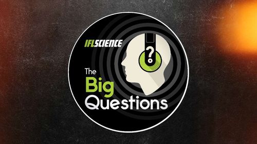IFLScience The Big Question Logo. Image Credit: IFLScience
