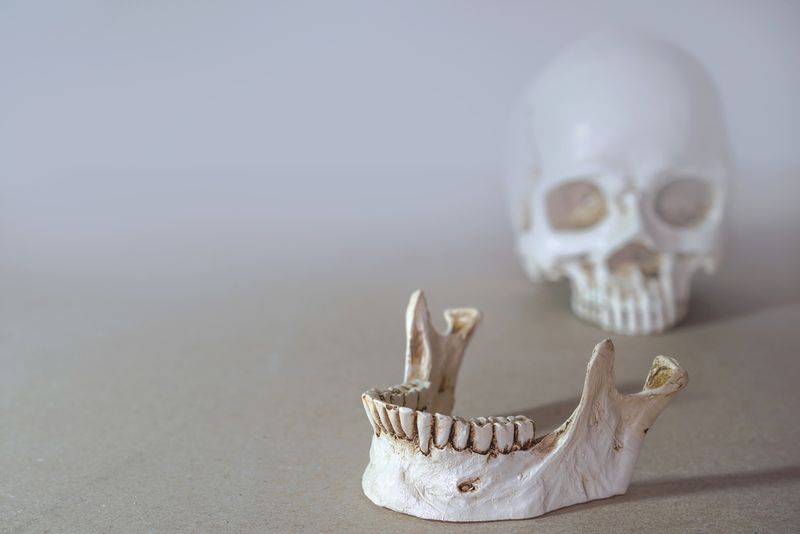 Ancient hominid jawbone
