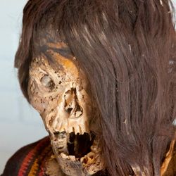 Andean mummy