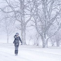 Woman walks through snowstorm in Buffalo, New York