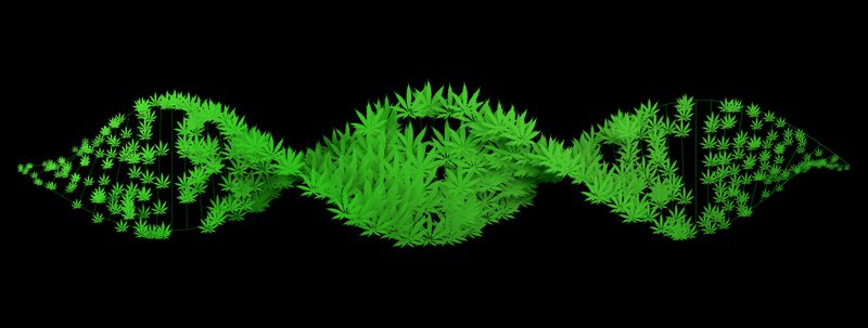 concept art of DNA molecule composed of cannabis leaves