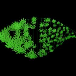 concept art of DNA molecule composed of cannabis leaves