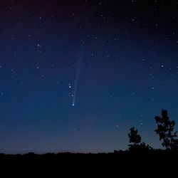 Comet C/2023 P1 (Nishimura) photographed just before dawn with silhouetted trees in the foreground