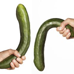 Dysfunction of the penis - illustration with cucumber