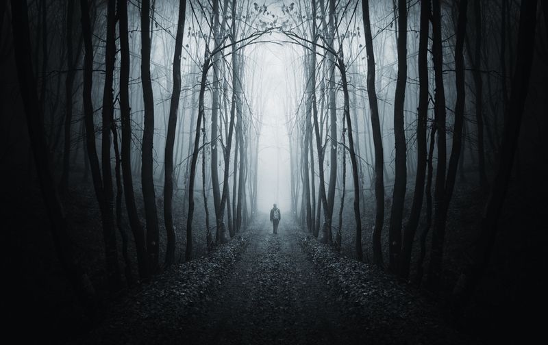 The Unsettling Explanation Of The Dark Forest Hypothesis: Why Aliens Haven't Made Contact