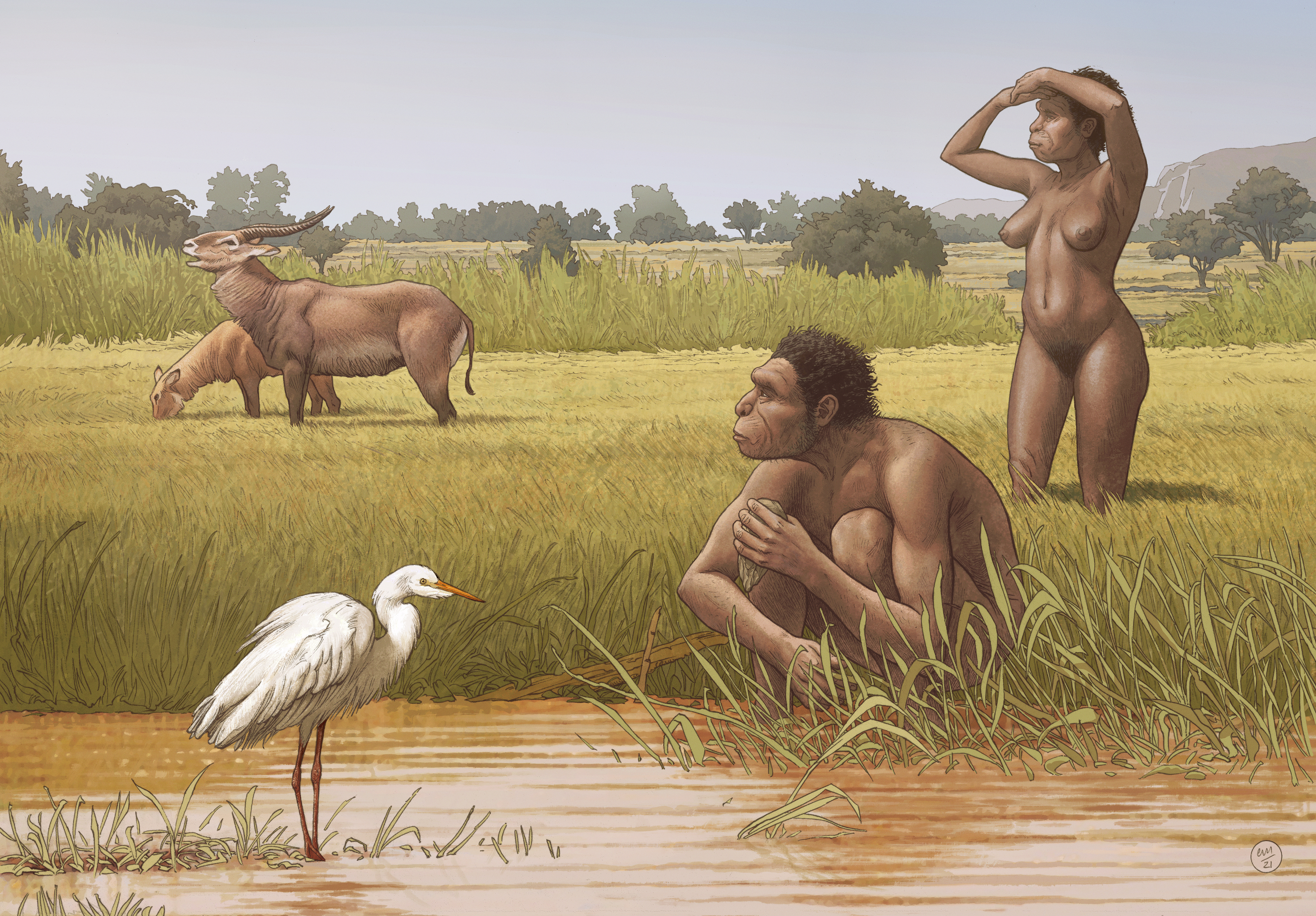 Illustration of two Homo bodoensis in the grass by a river, one crouching and one with their hands above their head,with animals