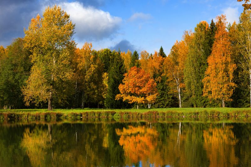 Beautiful reds, yellow and orange trees by a pond with a blue sky