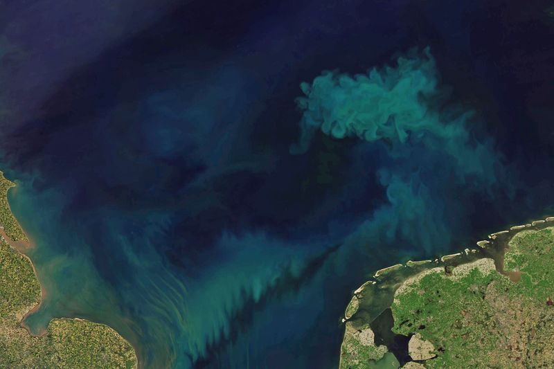 Satellite image of the green color within the ocean. Land is visible in the bottom right and left of the image.