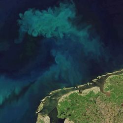 Satellite image of the green color within the ocean. Land is visible in the bottom right and left of the image.