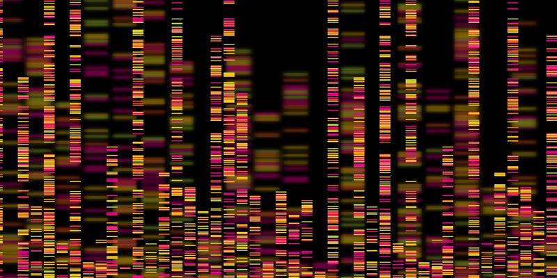 It took almost twice as long to finish the last 8 percent of the human genome as it did to sequence the first 92 percent. Image Credit: Zita/Shutterstock.com