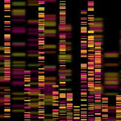 It took almost twice as long to finish the last 8 percent of the human genome as it did to sequence the first 92 percent. Image Credit: Zita/Shutterstock.com