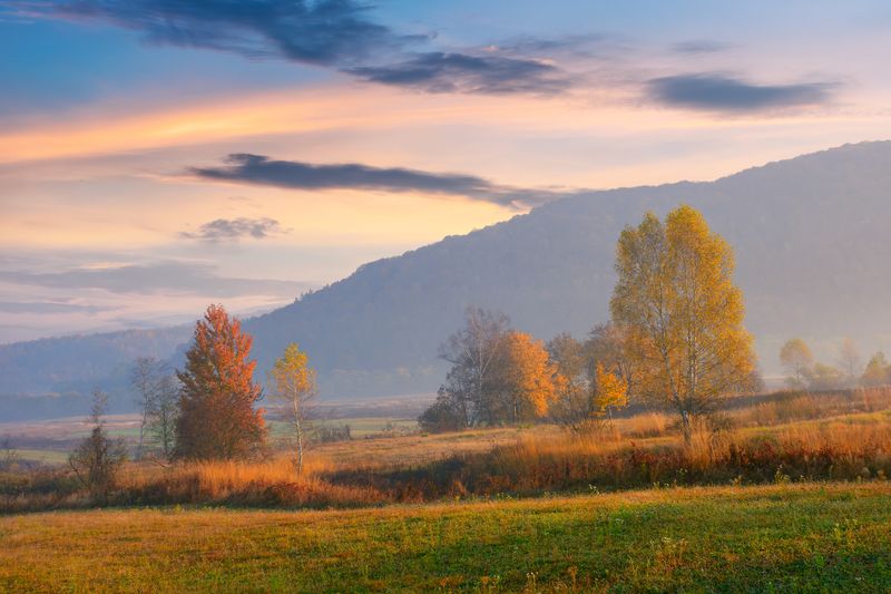 Rural fields in autumnal countryside. Colorful landscape on a hazy morning.