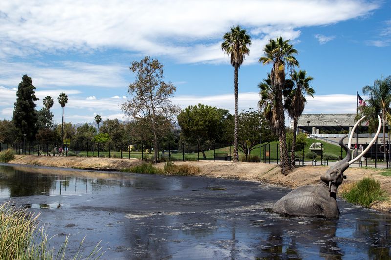 A photo of La Brea Tar Pits, California, showing a replica prehistoric elephant being sucked into the tar.