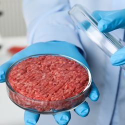 Lab-grown meat environmental impact