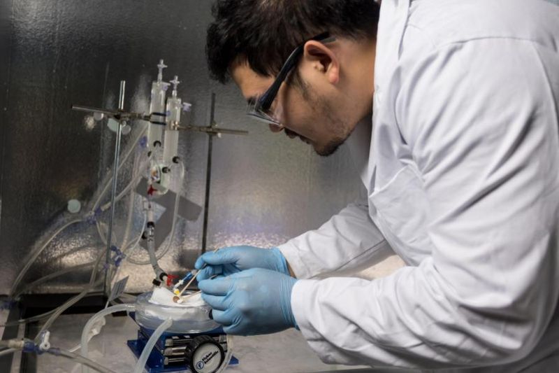 A scientists in a lab coat experimenting on cryogenically stored rat kidneys. 