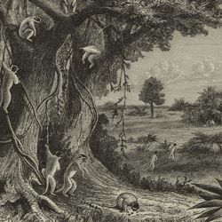 An artist's impression of Lemuria, complete with lemurs, from 1893.