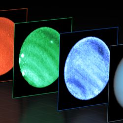 This image shows Neptune observed with the MUSE instrument at ESO’s Very Large Telescope (VLT). At each pixel within Neptune, MUSE splits the incoming light into its constituent colours or wavelengths. This is similar to obtaining images at thousands of different wavelengths all at once, which provides a wealth of valuable information to astronomers.