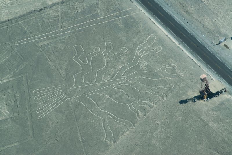 A Nazca Lines in the desert of southern Peru depicting a tree.