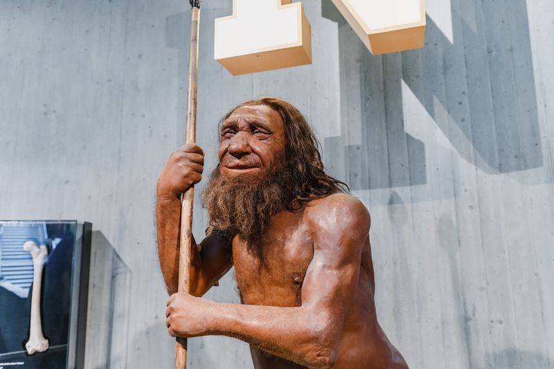 Neanderthal birch tar chemistry