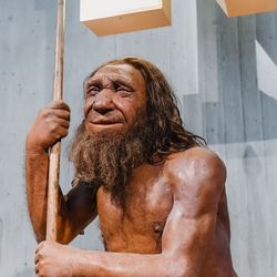 Neanderthal birch tar chemistry