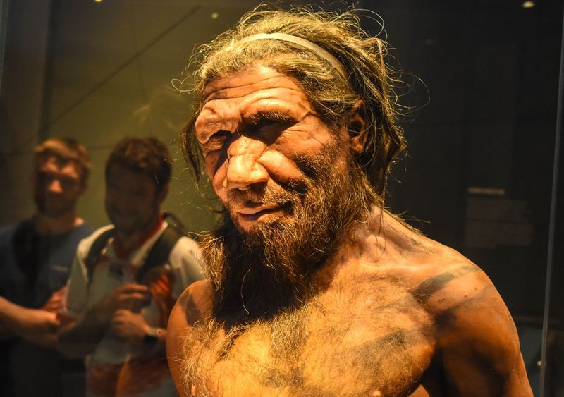 Neanderthal language