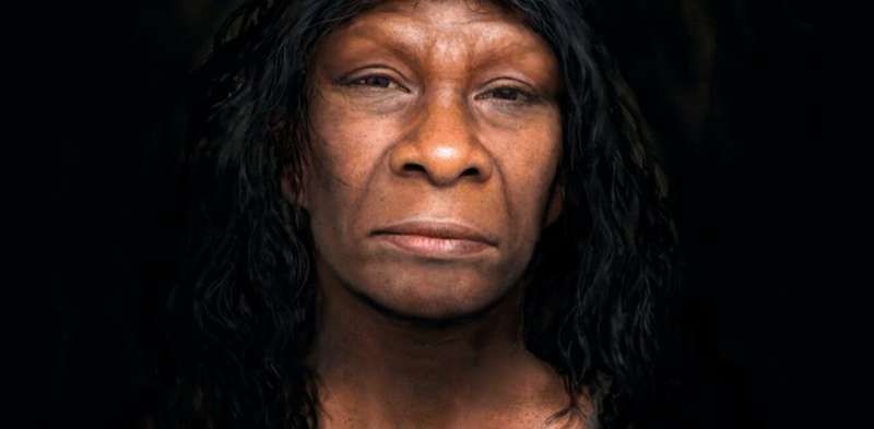 An illustration of a Neanderthal, with brown skin, dark hair, a wide nose and dark brown eyes