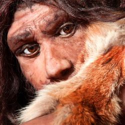 Evidence suggests 99.7 percent of Neanderthal and modern human DNA is identical.