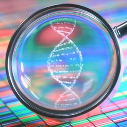 magnifying glass zooms in on DNA molecule on background of multicolored stripes to represent sequencing data