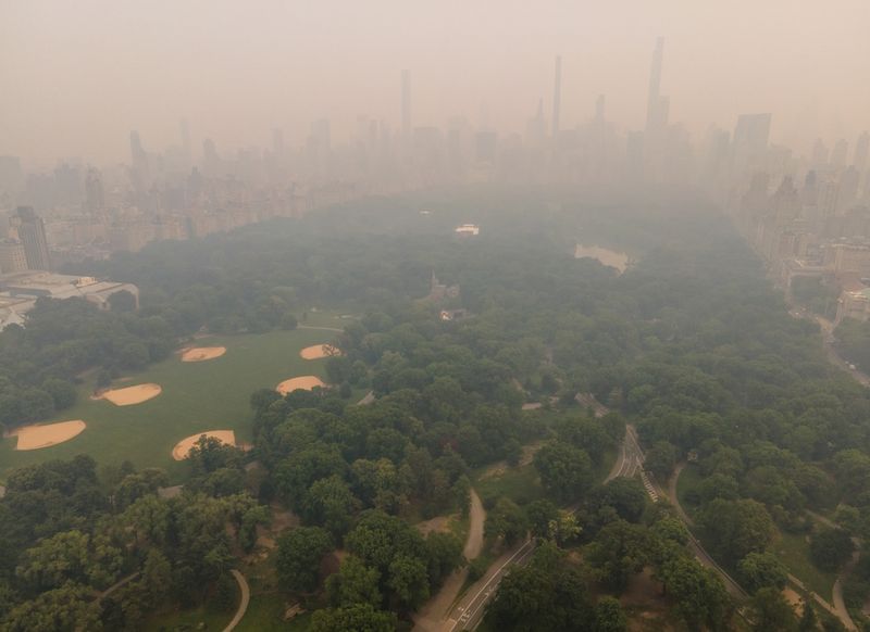 new york pollution