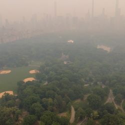 new york pollution