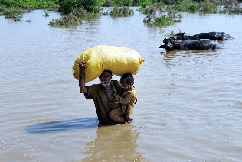 A farmer holding a boy and sack is up to his waist in flood waters in Pakistan