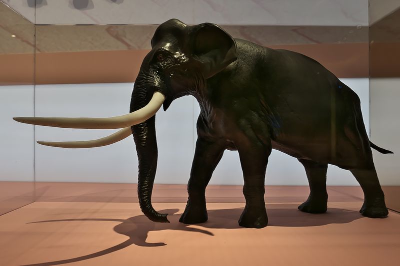 Palaeoloxodon antiquus, the straight-tusked elephant