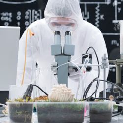 People in protective gear in a lab with growing mushrooms