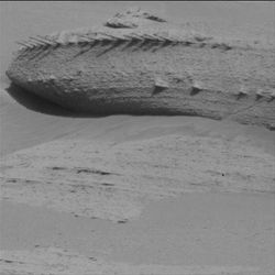 A image of a rock on mars showing spine-like protuberances