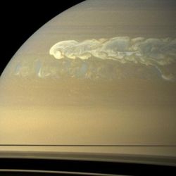 A huge storm dominates the rather featureless surface of Saturn in an image taken by the Cassini spacecraft on Feb. 25, 2011, about 12 weeks after the powerful storm was first detected in the planet's northern hemisphere.