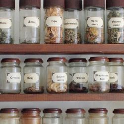 Jars of herbs and spices in a spice rack kitchen.