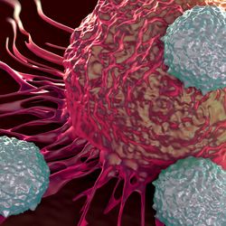 3D illustration of t-cells attacking a cancer.