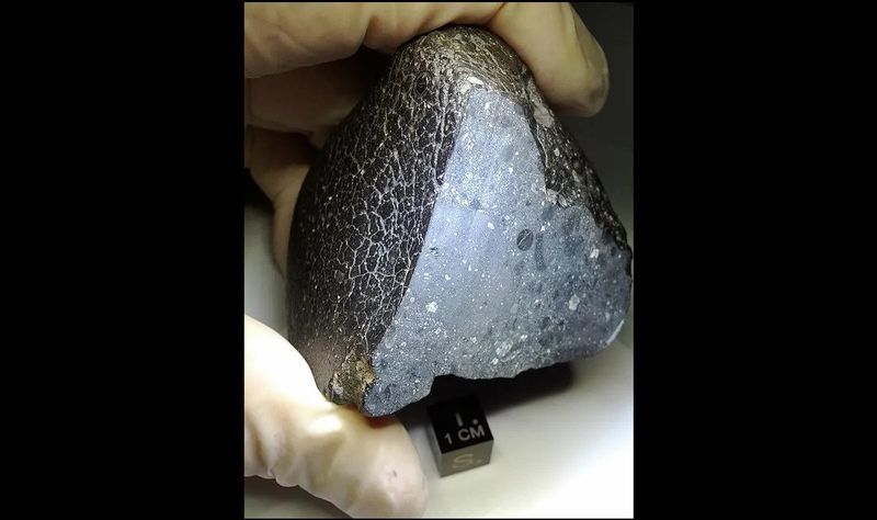 The Martian meteorite Black Beauty