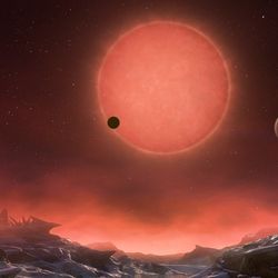 A brilliant artist's impression showing the view of red dwarf TRAPPIST-1 from the surface of one of its three Earth-like planets. 