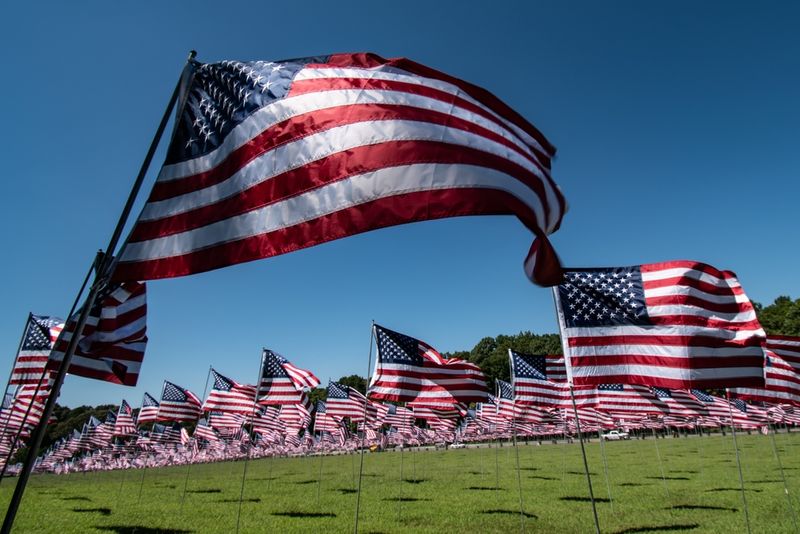American US flags wave on a green field. 
