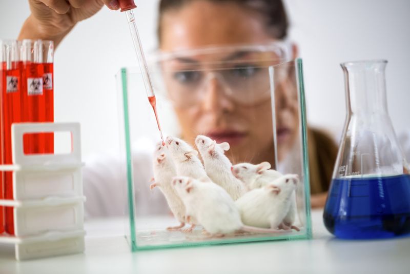 Chemist testing a red liquid on lab mice