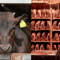 112 Should We Eat Red Meat? The Nutrition And The Ethics