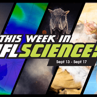 This week in science IFLScience