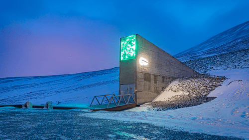 doomsday vault seed delivery