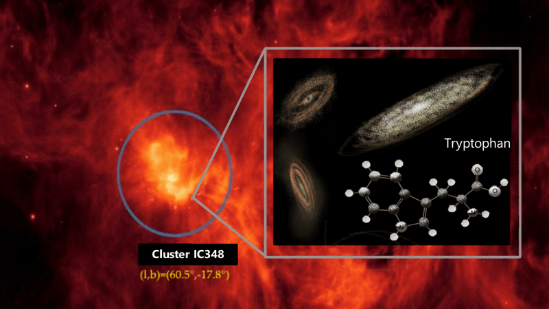 The spitzer image of IC 348 and an insert with the shape of tryptophane and the stellar disks