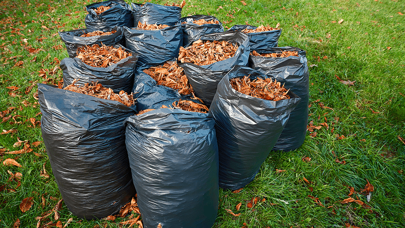 12 bin bags of brown autumn leaves on a green grass lawn 